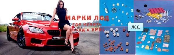 гидра Вязьма