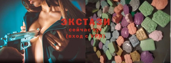 гидра Вязьма