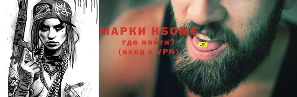 гидра Вязьма