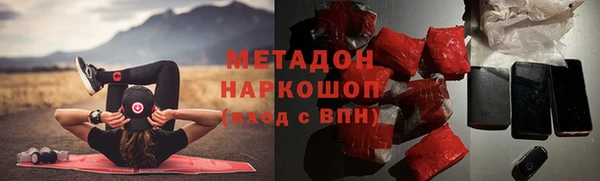 гидра Вязьма