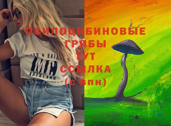 гидра Вязьма