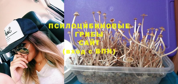 дживик Вязники