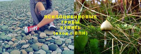 дживик Вязники
