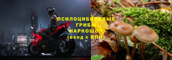 гидра Вязьма