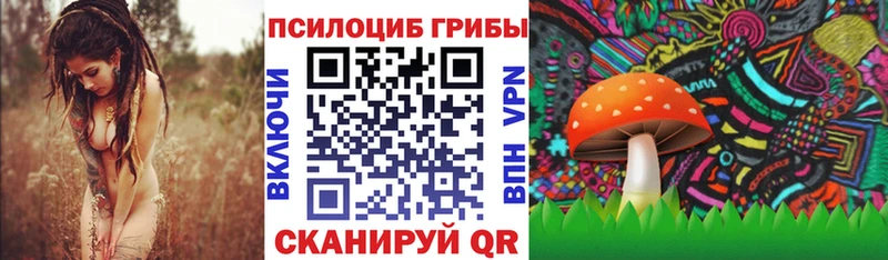 Галлюциногенные грибы Cubensis  Купить где  Бирск 